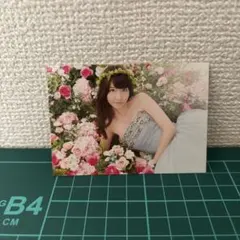 柏木由紀 さん 超激レア サンイン入 チェキ クレジットカード決済専用 AKB48 柏木由紀 コレクションミニカード2枚 - メルカリ