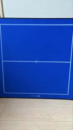 【中古】ミントンの壁 2026年最新】mintonの壁の人気アイテム - メルカリ