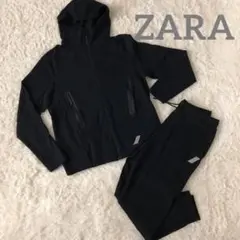 zaraセットアップ