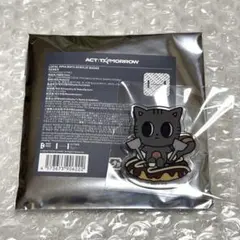 TXT PPULBATU アクリルバッジ 大阪 ダゴニャン テヒョン