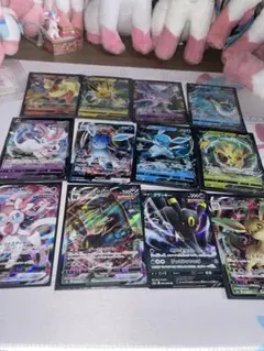 ブイズ 12枚 まとめ売り