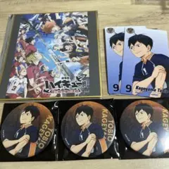 影山飛雄 ハイキュー!! ごみ捨て場の決戦展