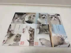 もちまる日記 ポストカード