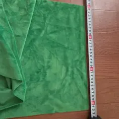 約30×90 クリスタルボア グリーン S-0029 ソフトボア生地
