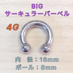 4G 16mm×2本 ビッグ サーキュラーバーベル ボディピアス