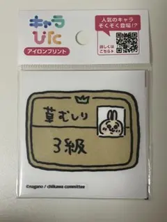 2026年最新】草むしり検定 3級の人気アイテム - メルカリ