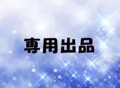 大神様専用出品