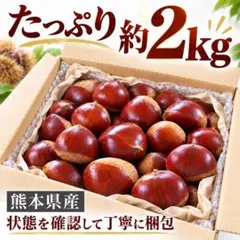 熊本県産 利平栗 約2kg 産地直送