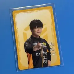 2026年最新】team雷電の人気アイテム - メルカリ