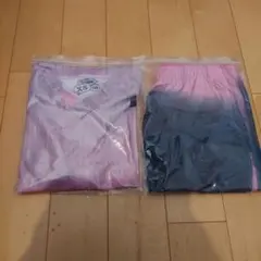 Item thumbnail for item 63636f4b-1f77-4e3f-a387-e7d8ffa08b4c