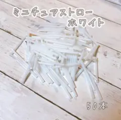 Item thumbnail for item 727fc923-50fe-47bf-838b-924fe90b9151