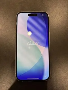 Apple iPhone 15 ブルー　箱無し