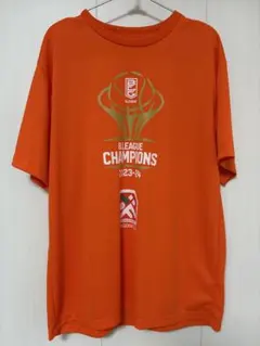 正規品】 Bリーグ 広島ドラゴンフライズ 2022-23 CS記念Tシャツ - メルカリ