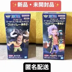 ワンピース ワーコレ ゴッドバレー2 C・ジョン＆カイドウ