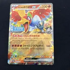2026年最新】シリーズ：スカーレット&バイオレット ポケモンカード