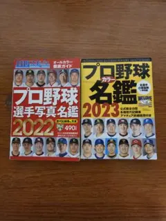 Item thumbnail for item 7abd7983-7a1d-4cee-ae47-05b28baf03fb