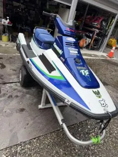 ジェットスキー シングル750six!!ライドプレート、スコープゲート改 