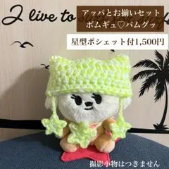 【大人気】TXT プルバトゥ　バムグッ　ぬい　帽子　星型ポシェットNo.40