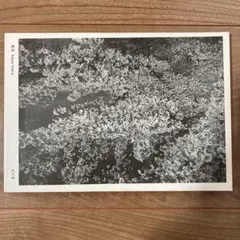 Item thumbnail for item 82815ac5-827d-4c68-9bf6-a6a6e8010485