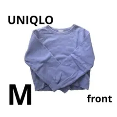 Item thumbnail for item 2aa3f0e4-d459-49f2-b99e-fe5fa6f575d3