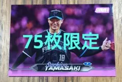 日本ハムファイターズ VIPシート使用済みチケット 大谷翔平 2016/6/12
