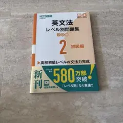 英文法レベル別問題集 2 初級編 改訂版 東進ブックス 動画・音声付き