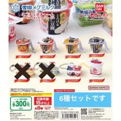 【雪印メグミルクミニチュアチャーム ～ヨーグルト＆デザートシリーズ～】6種セット