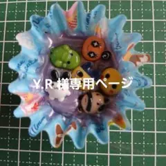 Y.R 様専用ページ