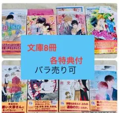 ♦︎文庫 8冊 バラ売り可 各特典付 伊郷ルウ 渡海奈穂 chi-co 栗城偲 他