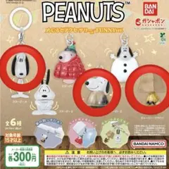 PEANUTS めじるしアクセサリー FUNNY ver. 3点セット