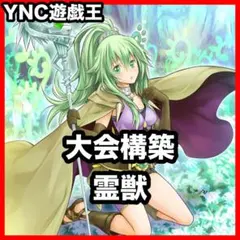 聖霊獣騎カンナホーク 絵違い クオシク 25th - メルカリ