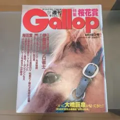 JRA ヒーロー列伝ポスター No.29 オグリキャップ B3サイズ ビンテージ