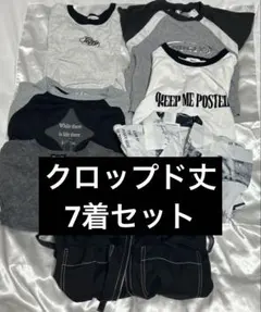 WEGO DOSCH 夏服 Tシャツ まとめ セット クロップド丈 へそ出しのサムネイル