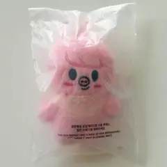 StrayKids 5'CLOCK SKZOO PLUSH 10CM トゥエッキのサムネイル