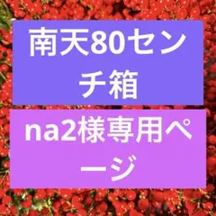 ☆na2様専用ページ☆