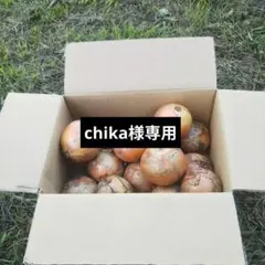 chika様専用