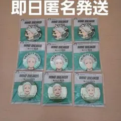 WIND BREAKER ウィンドブレーカー 缶バッジ 梅宮 3種 3セット