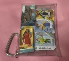 ディズニー　ミニブランズ