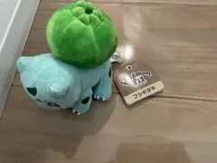 新品　ポケモン　fit 　フシギダネ　フィット　ぬいぐるみ　正規品