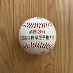 華金SALE⭐️全国高校野球選手権大会 記念ボール2個セット 第90回 全国高校野球選手権記念大会 甲子園 記念ボール - メルカリ