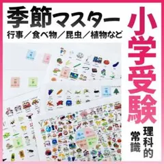 2026年最新】ジャック幼児教室の人気アイテム - メルカリ