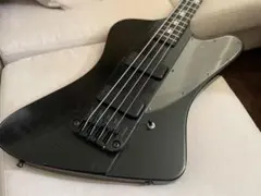 【希少モデル】Gibson Blackbird【弦交換setup済】