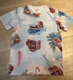 Item thumbnail for item 8c03642c-6486-4159-b5e3-dca014124896