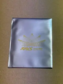 【新品未開封】 Snow Man RAYS チケット風カード 岩本照