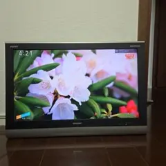 2026年最新】32型 液晶テレビ 亀山モデルの人気アイテム - メルカリ