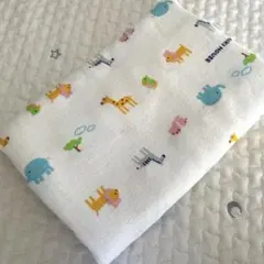 Item thumbnail for item 8da481b1-f78c-498a-a7ef-d651e3525f76