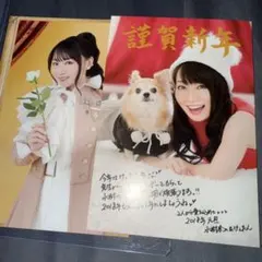 水樹奈々 B2ポスター MUSEUM Ⅳ 25th anniversary 2種 水樹奈々 B2ポスター MUSEUM Ⅳ 25th anniversary 2種 - メルカリ