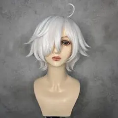 【No.241】サンプル品　ウィッグオーダー受付中！