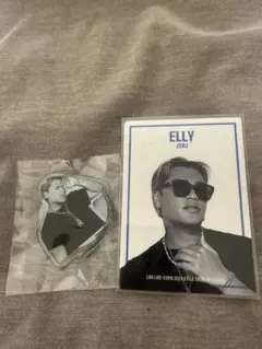 ELLY JSB3 フォトカード アクスタ LDH LIVE EXPO 三代目