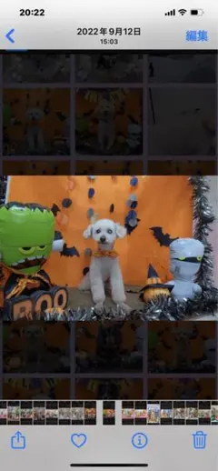 LUNA（オーダーメイド）様専用